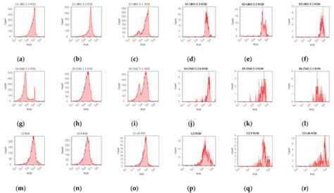 ROS-Induced DNA-Damage and Autophagy in Oral Squamous Cell Carcinoma by ...