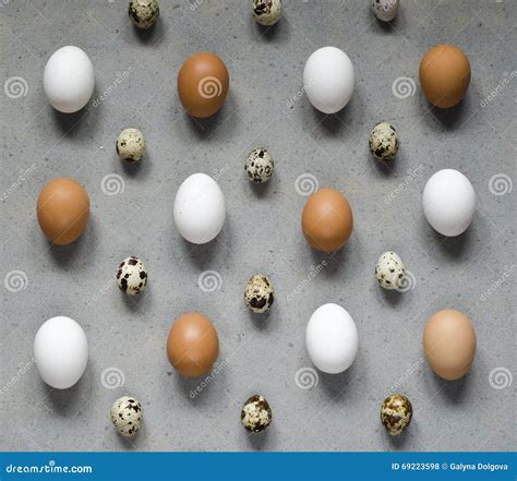 Different Types Of Eggs