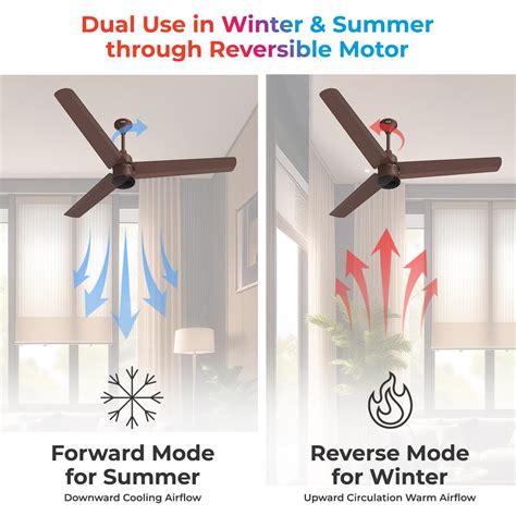Polycab Silencio Mini 1200mm BLDC Ceiling fan with Remote (Pearl Brown ...