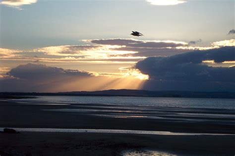 THE BEST Canisbay Monuments & Statues (2026) - with Reviews