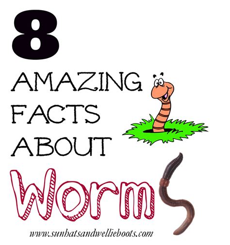 Earthworm facts for kids – Artofit