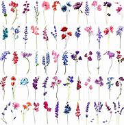 Image result for Carnation and Snowdrop Flower Art Tatoo