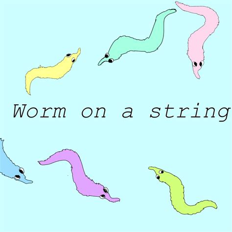 Pin on Worm on a string