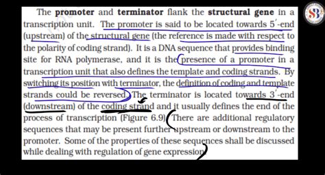 Transcription - Process, Unit, RNA Polymerase, Types of RNA