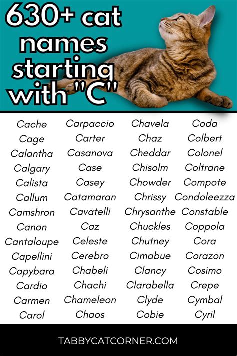 Cat Names From C at Therese Arnold blog