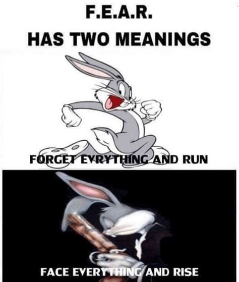 The best bugs bunny memes :) Memedroid
