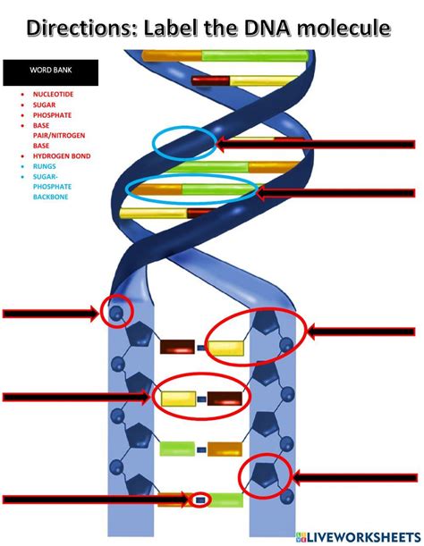 Image result for Basic Science Examples