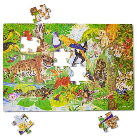 Amazon Rainforest Floor Animals