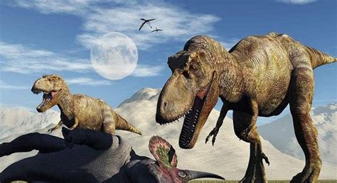 霸王龙vs暴龙vs沧龙雷克斯暴龙vs霸王龙2022已更新今日推荐