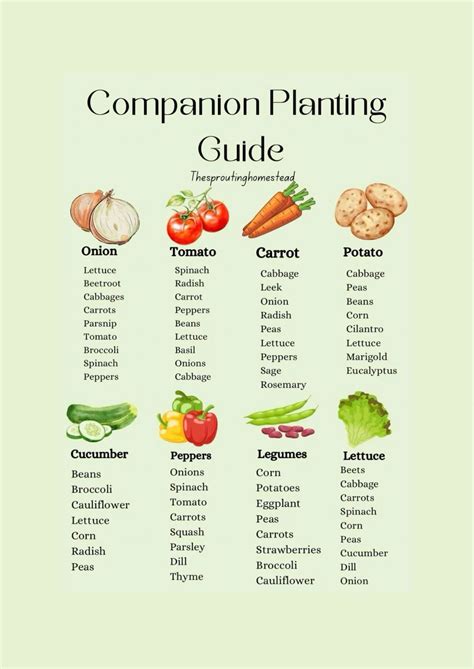 57 Garden chart ideas in 2025 | companion planting chart, planting ...