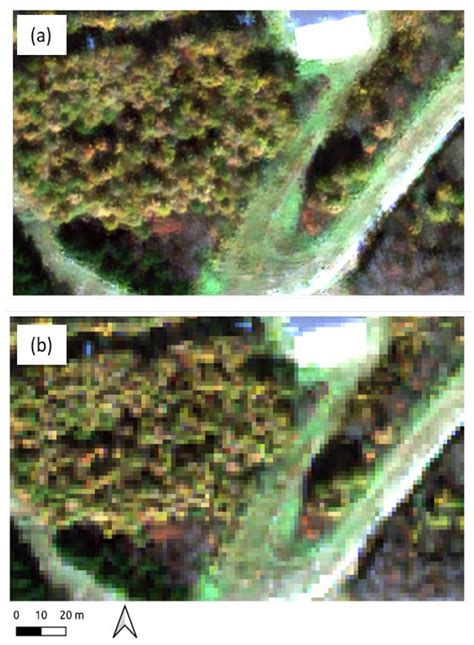 An Ultra-Resolution Features Extraction Suite for Community-Level ...
