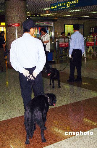 图文：上海警察携警犬地铁执勤-搜狐新闻