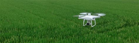 DJI P4 Multispectral Drone