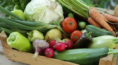 Овощная диета. Меню на неделю — читать на Gastronom.ru