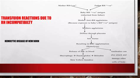 Blood transfusion in oral and maxillofacial surgery | PPTX
