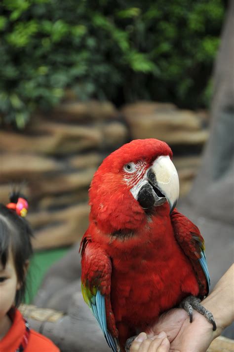Hong Kong Ocean Park 120325