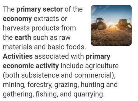 what is the most important primary economic activity of the world ...