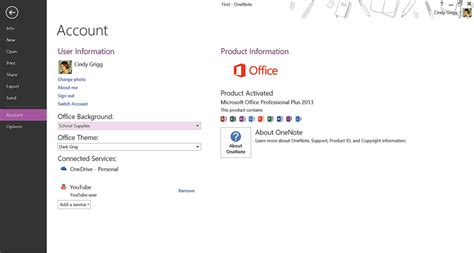 OneNote Customize 的图像结果