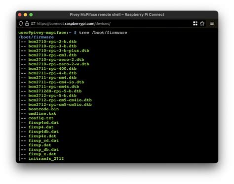 Remote Shell Access 的图像结果