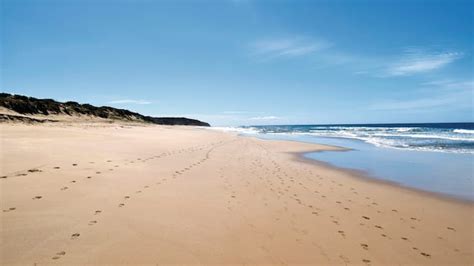 Image result for Java Code for Snake and Ladder Game