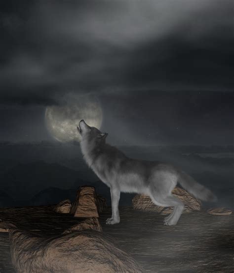 狼在冬天嚎叫照片摄影图片_ID:151479539-Veer图库