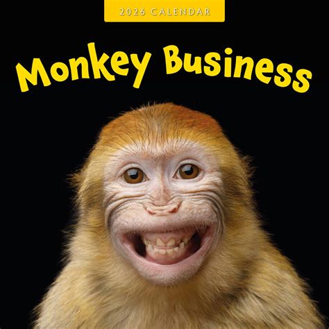 Monkey Business Kalender 2026: Humor in Elke Maand
