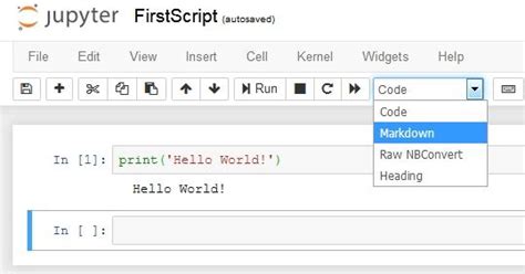 Python Notebook Editor 的图像结果