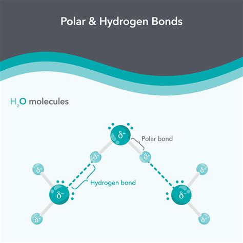 Polar and Hydrogen Bonds chemistry vector illustration diagram 26586275 ...