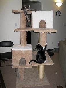 arbre a chat ikea 74664 your own cat tree thriftyfun arbre a chat ikea 74664 your own cat tree thriftyfun
