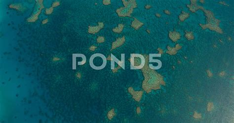 Coral Sea Marine Ecosystem Aerial Great Barrier Reef Marine Ecosystem, Coral, Great Barrier Reef ...