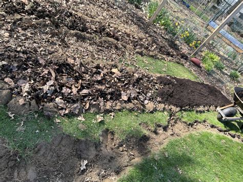 No-Till Gardening Techniques 的图像结果