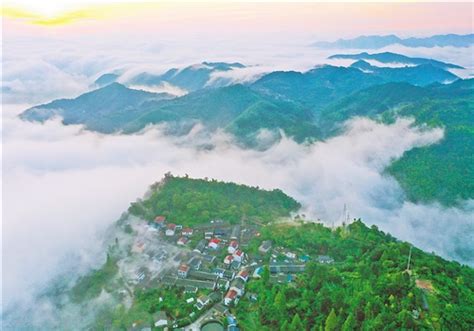 美丽中国“浙”里见——写在“绿水青山就是金山银山”理念提出十五周年之际 -国际环保在线