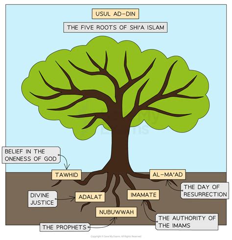 The Five Roots of Usul ad-Din | Cambridge (CIE) IGCSE Religious Studies Revision Notes 2023