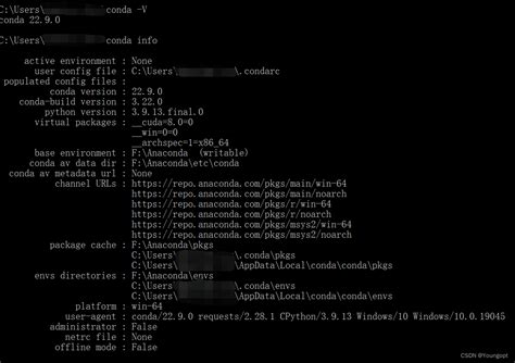 Using Anaconda with vs Code 的图像结果