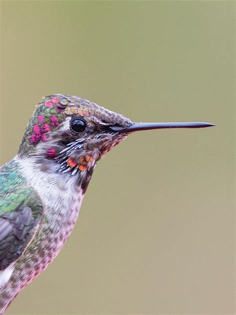 Henry County REMC - June 2023 Indiana Connection by IndianaConnection ...