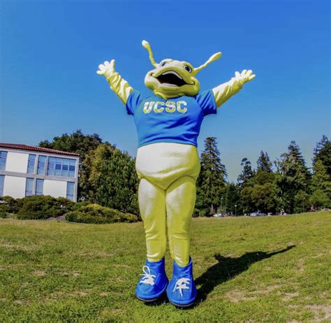 The 14 Weirdest Sports Mascots of All Time, Ranked By Fans
