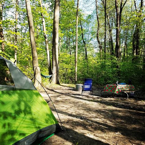 Warren Dunes Campground in Warren Dunes State Park, Michigan: Reviews ...