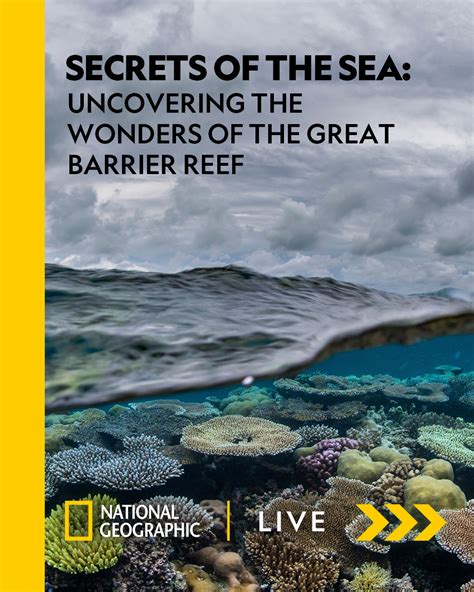 Uncovering The Wonders Of The Ancient World: National Geographic Insights