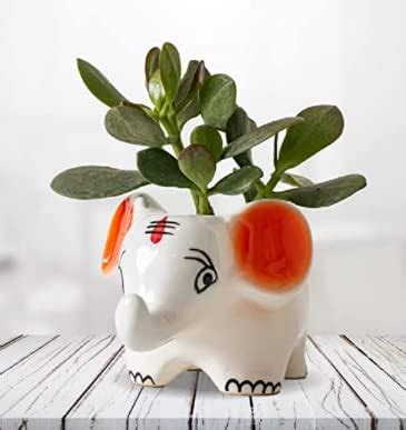 planter Silpin Cute Elephant Shaped Ceramic Pot/Gamla : Amazon.in ...