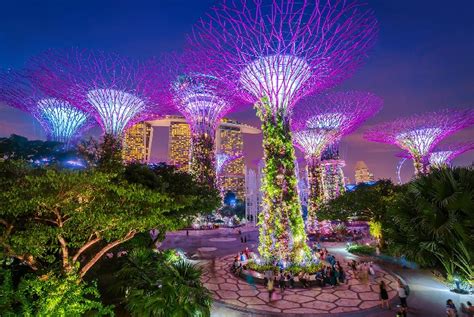 Gardens By The Bay In Singapore 2025-26 | Flamingo Travels