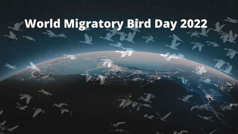 World Migratory Bird Day 2022: Observed on 14th May 2022