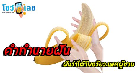 Image result for Alien Beaty