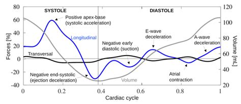 Reference Ranges of Left Ventricular Hemodynamic Forces in Healthy ...