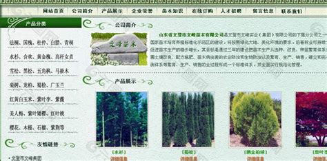 山东苗木种植基地供应滨州榆树、苗圃苗、随时起苗_惠民县驰腾苗木有限公司_园林网