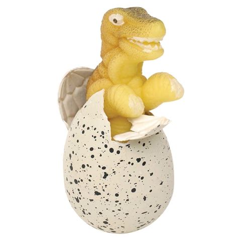Toysmith Dinosaur Egg Hatching Toy - Submerge in Water, Assorted Styles ...