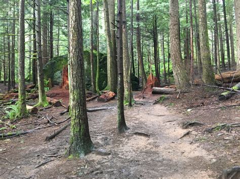 Mount Si - Old Trail, Little Si — Washington Trails Association