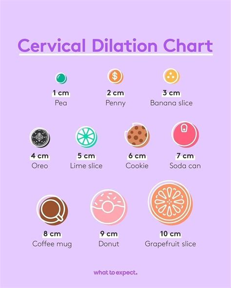 Cervical dilation chart – Artofit