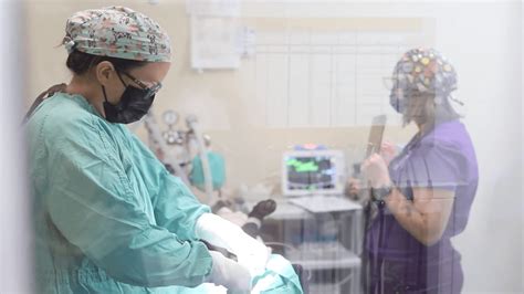 Associate Veterinarian | SPCA of Northern Nevada