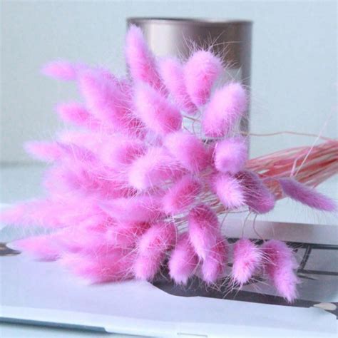 Buy Alvage Dried Grass Bouquet 30 pcs Natural Foxtail Rabbit Tail Grass ...