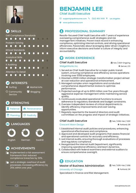 10+ Chief Audit Executive Resume Samples & Templates for 2025